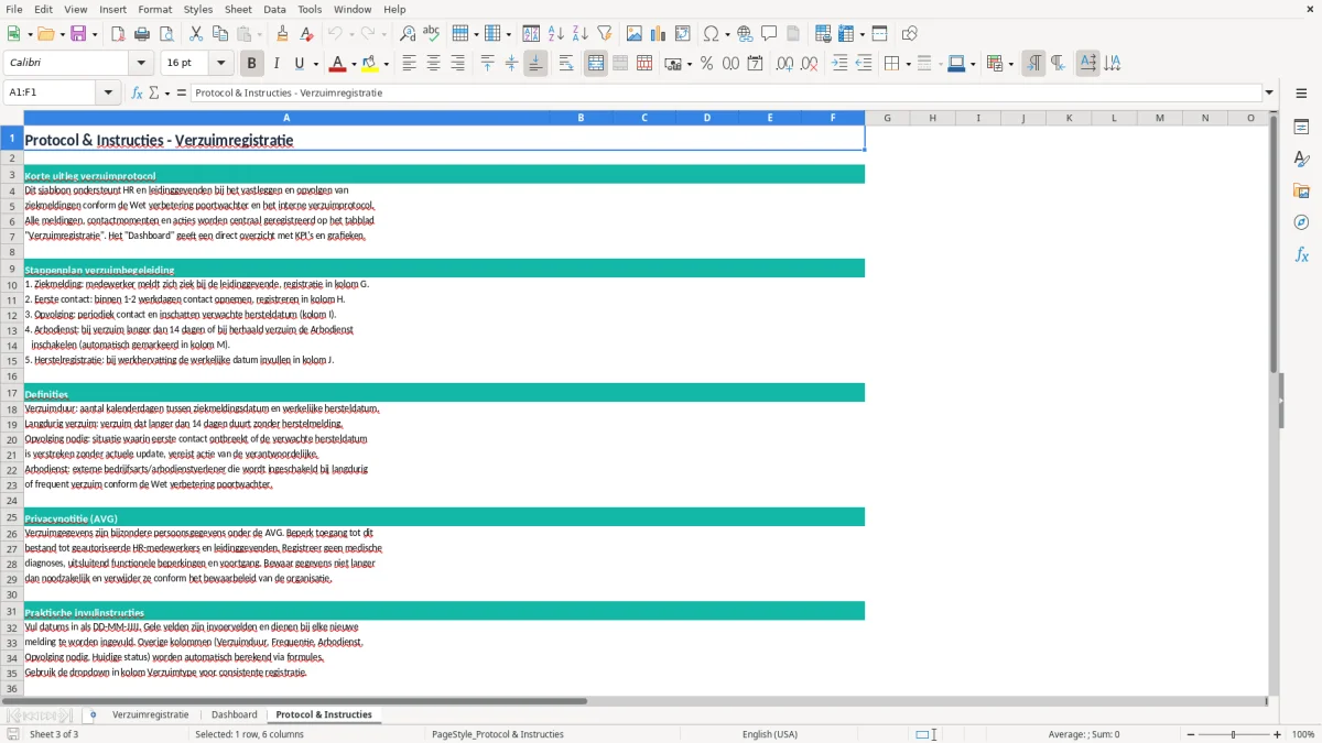 Screenshot 3: tabblad Protocol & Instructies - Excel-sjabloon verzuimprotocol overzicht excel sjabloon